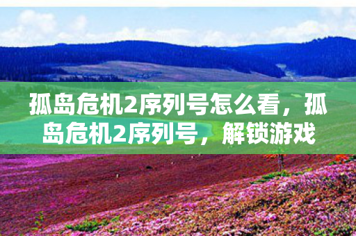 孤岛危机2序列号怎么看，孤岛危机2序列号，解锁游戏世界的钥匙