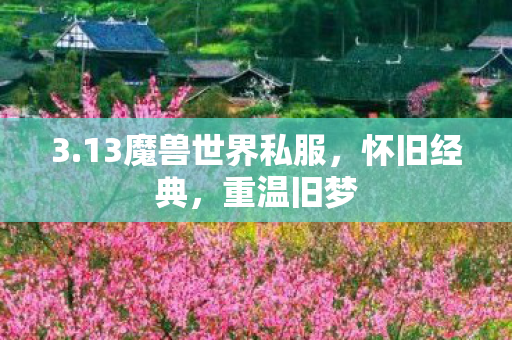 3.13魔兽世界私服,怀旧经典,重温旧梦 3.13魔兽世界私服,怀旧经典,重温旧梦
