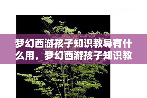 梦幻西游孩子知识教导有什么用,梦幻西游孩子知识教导全解析 梦幻西游孩子知识教导有什么用,梦幻西游孩子知识教导全解析