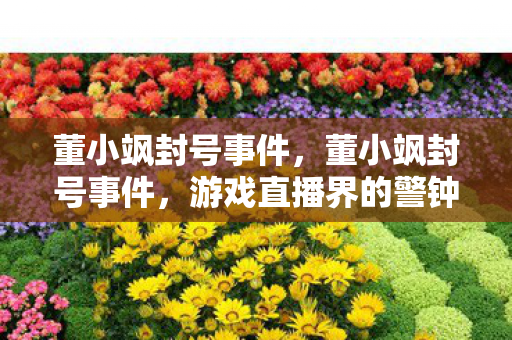 董小飒封号事件,董小飒封号事件,游戏直播界的警钟 董小飒封号事件,董小飒封号事件,游戏直播界的警钟