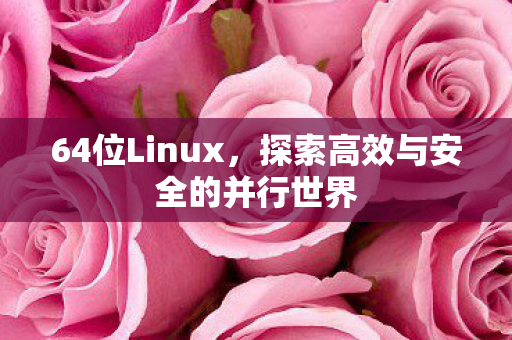 64位Linux，探索高效与安全的并行世界