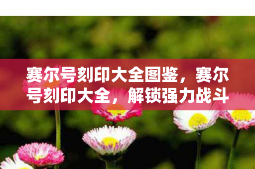 赛尔号刻印大全图鉴,赛尔号刻印大全,解锁强力战斗技能 赛尔号刻印大全图鉴,赛尔号刻印大全,解锁强力战斗技能
