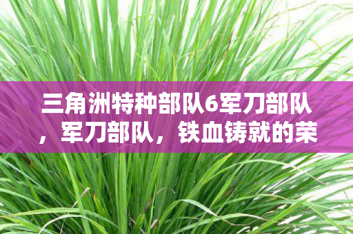 三角洲特种部队6军刀部队,军刀部队,铁血铸就的荣耀与使命 三角洲特种部队6军刀部队,军刀部队,铁血铸就的荣耀与使命