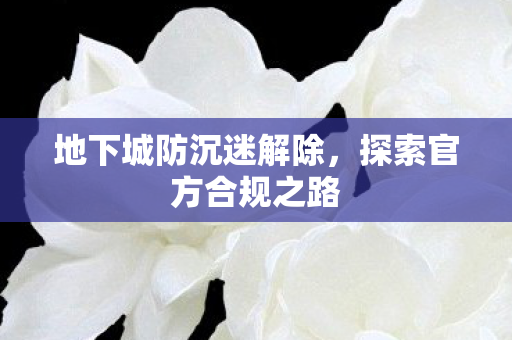 地下城防沉迷解除,探索官方合规之路 地下城防沉迷解除,探索官方合规之路
