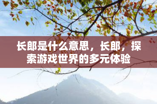 长郎是什么意思,长郎,探索游戏世界的多元体验 长郎是什么意思,长郎,探索游戏世界的多元体验
