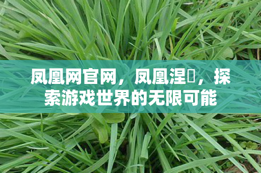 凤凰网官网，凤凰涅槃，探索游戏世界的无限可能