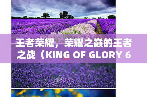 王者荣耀,荣耀之巅的王者之战(KING OF GLORY 6-10) 王者荣耀,荣耀之巅的王者之战(KING OF GLORY 6-10)