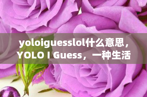 yoloiguesslol什么意思,YOLO I Guess,一种生活态度的表达 yoloiguesslol什么意思,YOLO I Guess,一种生活态度的表达