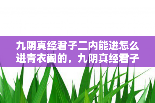 九阴真经君子二内能进怎么进青衣阁的,九阴真经君子二内,探寻武学真谛,领略君子风范 九阴真经君子二内能进怎么进青衣阁的,九阴真经君子二内,探寻武学真谛,领略君子风范