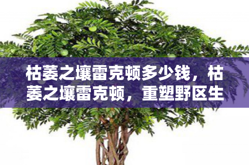 枯萎之壤雷克顿多少钱,枯萎之壤雷克顿,重塑野区生态的坚韧霸主 枯萎之壤雷克顿多少钱,枯萎之壤雷克顿,重塑野区生态的坚韧霸主