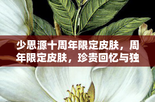 少思源十周年限定皮肤,周年限定皮肤,珍贵回忆与独特魅力的融合 少思源十周年限定皮肤,周年限定皮肤,珍贵回忆与独特魅力的融合