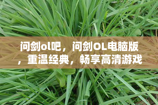 问剑ol吧,问剑OL电脑版,重温经典,畅享高清游戏体验 问剑ol吧,问剑OL电脑版,重温经典,畅享高清游戏体验