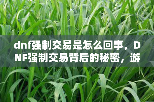dnf强制交易是怎么回事,DNF强制交易背后的秘密,游戏经济与市场操控 dnf强制交易是怎么回事,DNF强制交易背后的秘密,游戏经济与市场操控