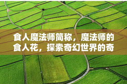 食人魔法师简称,魔法师的食人花,探索奇幻世界的奇妙植物 食人魔法师简称,魔法师的食人花,探索奇幻世界的奇妙植物