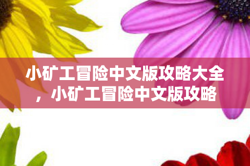小矿工冒险中文版攻略大全,小矿工冒险中文版攻略 小矿工冒险中文版攻略大全,小矿工冒险中文版攻略