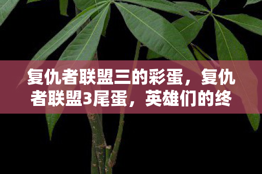 复仇者联盟三的彩蛋,复仇者联盟3尾蛋,英雄们的终极对决与命运交织 复仇者联盟三的彩蛋,复仇者联盟3尾蛋,英雄们的终极对决与命运交织