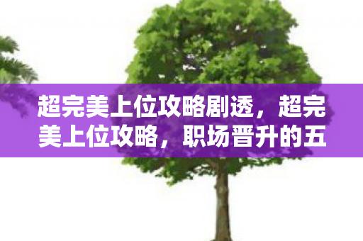 超完美上位攻略剧透,超完美上位攻略,职场晋升的五大策略 超完美上位攻略剧透,超完美上位攻略,职场晋升的五大策略
