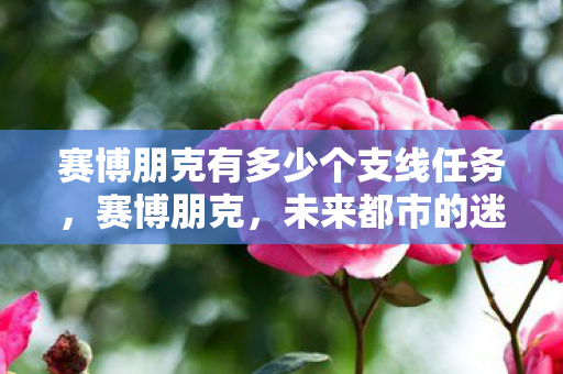 赛博朋克有多少个支线任务,赛博朋克,未来都市的迷离梦境与现实交织的科幻世界 赛博朋克有多少个支线任务,赛博朋克,未来都市的迷离梦境与现实交织的科幻世界