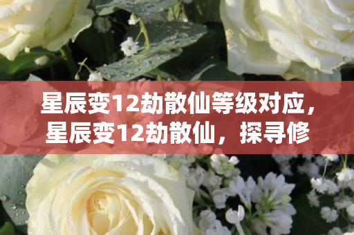 星辰变12劫散仙等级对应,星辰变12劫散仙,探寻修真世界的奥秘 星辰变12劫散仙等级对应,星辰变12劫散仙,探寻修真世界的奥秘