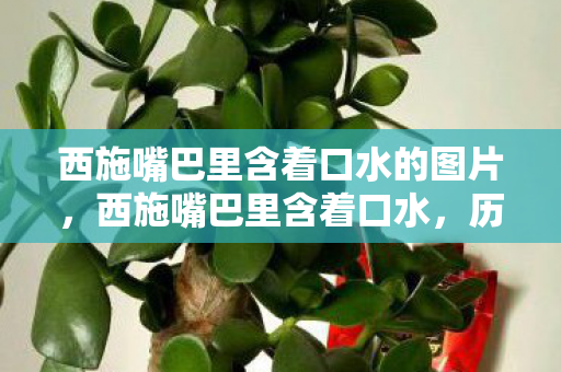西施嘴巴里含着口水的图片,西施嘴巴里含着口水,历史与传说的交织 西施嘴巴里含着口水的图片,西施嘴巴里含着口水,历史与传说的交织