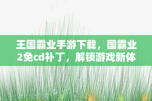 王国霸业手游下载,国霸业2免cd补丁,解锁游戏新体验,安全使用是关键 王国霸业手游下载,国霸业2免cd补丁,解锁游戏新体验,安全使用是关键
