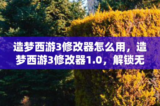 造梦西游3修改器怎么用,造梦西游3修改器1.0,解锁无限可能的冒险之旅 造梦西游3修改器怎么用,造梦西游3修改器1.0,解锁无限可能的冒险之旅
