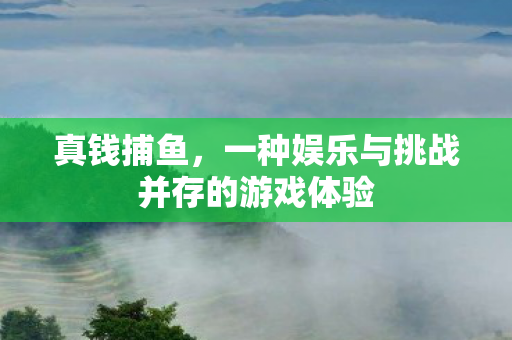 真钱捕鱼,一种娱乐与挑战并存的游戏体验 真钱捕鱼,一种娱乐与挑战并存的游戏体验