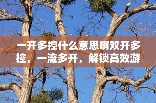 一开多控什么意思啊双开多控,一流多开,解锁高效游戏与工作的新境界 一开多控什么意思啊双开多控,一流多开,解锁高效游戏与工作的新境界