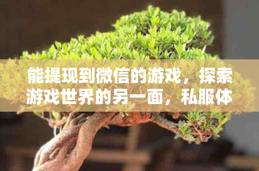 能提现到微信的游戏,探索游戏世界的另一面,私服体验的独特魅力 能提现到微信的游戏,探索游戏世界的另一面,私服体验的独特魅力
