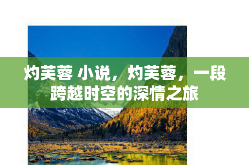 灼芙蓉 小说，灼芙蓉，一段跨越时空的深情之旅