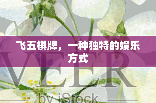 飞五棋牌,一种独特的娱乐方式 飞五棋牌,一种独特的娱乐方式