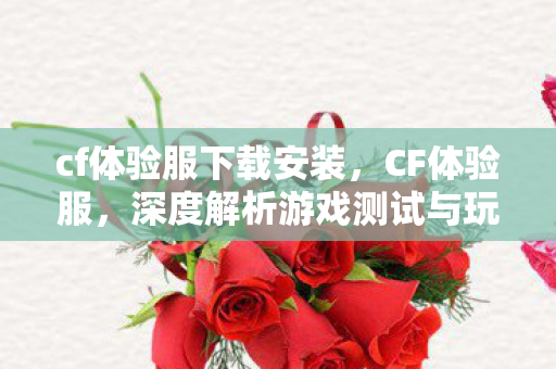 cf体验服下载安装,CF体验服,深度解析游戏测试与玩家互动的新窗口 cf体验服下载安装,CF体验服,深度解析游戏测试与玩家互动的新窗口