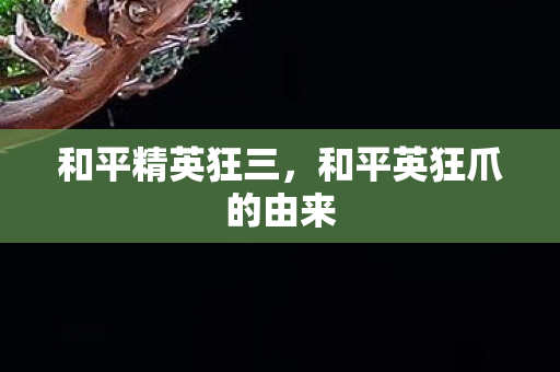 和平精英狂三,和平英狂爪的由来 和平精英狂三,和平英狂爪的由来