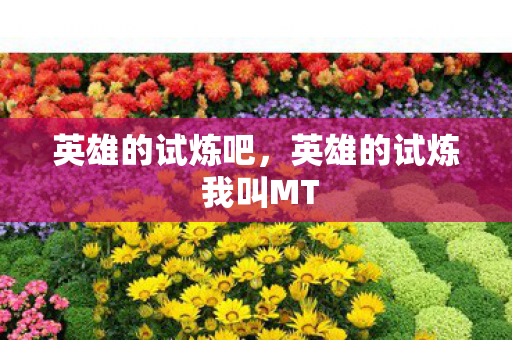 英雄的试炼吧，英雄的试炼 我叫MT