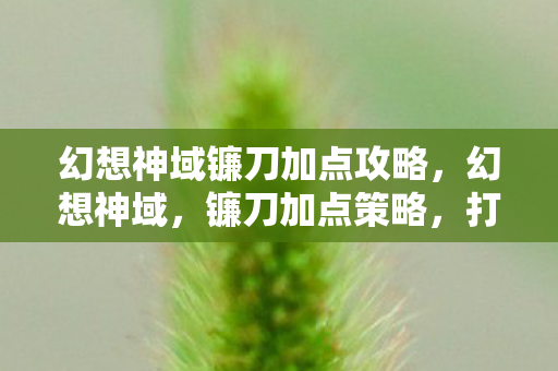 幻想神域镰刀加点攻略,幻想神域,镰刀加点策略,打造最强战斗体验 幻想神域镰刀加点攻略,幻想神域,镰刀加点策略,打造最强战斗体验