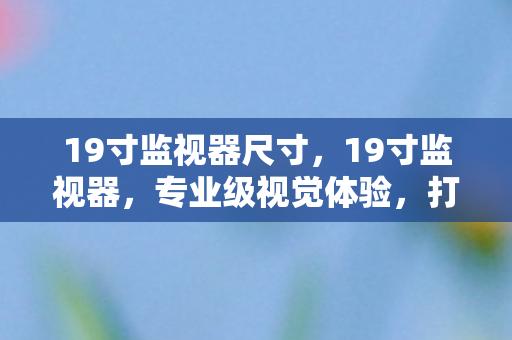 19寸监视器尺寸,19寸监视器,专业级视觉体验,打造高效工作空间 19寸监视器尺寸,19寸监视器,专业级视觉体验,打造高效工作空间