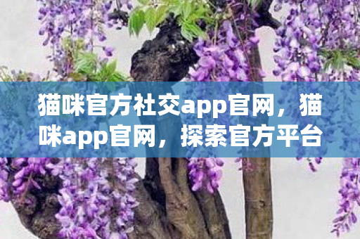 猫咪官方社交app官网,猫咪app官网,探索官方平台的独特魅力 猫咪官方社交app官网,猫咪app官网,探索官方平台的独特魅力