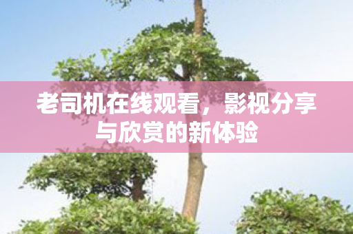 老司机在线观看,影视分享与欣赏的新体验 老司机在线观看,影视分享与欣赏的新体验