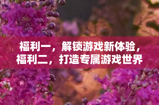 福利一,解锁游戏新体验,福利二,打造专属游戏世界 福利一,解锁游戏新体验,福利二,打造专属游戏世界