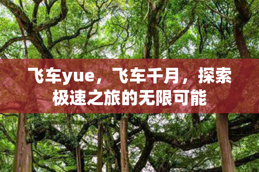 飞车yue,飞车千月,探索极速之旅的无限可能 飞车yue,飞车千月,探索极速之旅的无限可能