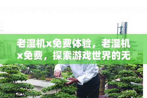 老湿机x免费体验,老湿机x免费,探索游戏世界的无限可能 老湿机x免费体验,老湿机x免费,探索游戏世界的无限可能