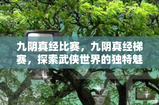 九阴真经比赛,九阴真经梯赛,探索武侠世界的独特魅力 九阴真经比赛,九阴真经梯赛,探索武侠世界的独特魅力