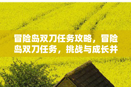冒险岛双刀任务攻略,冒险岛双刀任务,挑战与成长并进的冒险之旅 冒险岛双刀任务攻略,冒险岛双刀任务,挑战与成长并进的冒险之旅