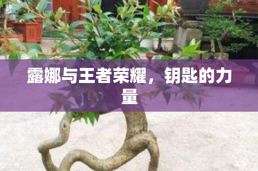 露娜与王者荣耀，钥匙的力量