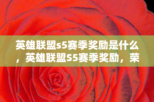 英雄联盟s5赛季奖励是什么，英雄联盟S5赛季奖励，荣耀与梦想的见证