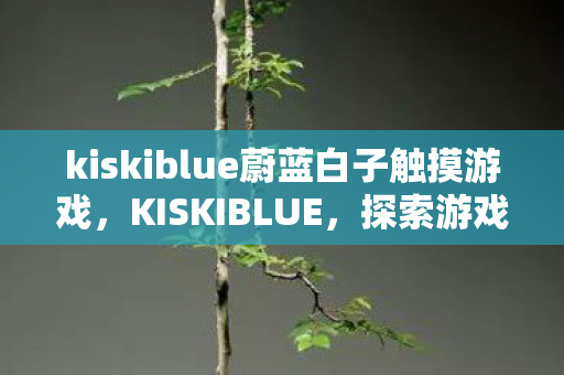 kiskiblue蔚蓝白子触摸游戏,KISKIBLUE,探索游戏世界的无限可能 kiskiblue蔚蓝白子触摸游戏,KISKIBLUE,探索游戏世界的无限可能