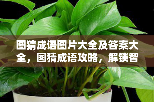 图猜成语图片大全及答案大全,图猜成语攻略,解锁智慧,畅享乐趣 图猜成语图片大全及答案大全,图猜成语攻略,解锁智慧,畅享乐趣