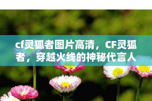 cf灵狐者图片高清,CF灵狐者,穿越火线的神秘代言人 cf灵狐者图片高清,CF灵狐者,穿越火线的神秘代言人