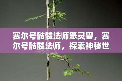 赛尔号骷髅法师恶灵兽,赛尔号骷髅法师,探索神秘世界的奇幻之旅 赛尔号骷髅法师恶灵兽,赛尔号骷髅法师,探索神秘世界的奇幻之旅