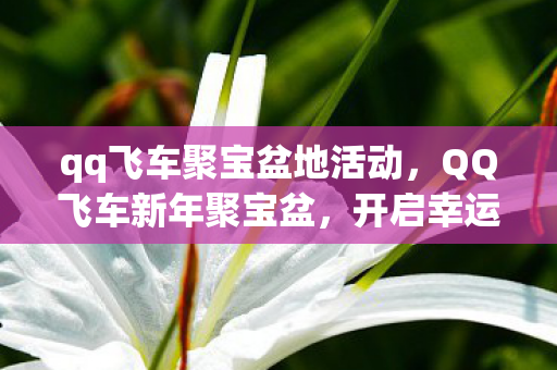 qq飞车聚宝盆地活动,QQ飞车新年聚宝盆,开启幸运之旅,赢取丰厚奖励 qq飞车聚宝盆地活动,QQ飞车新年聚宝盆,开启幸运之旅,赢取丰厚奖励